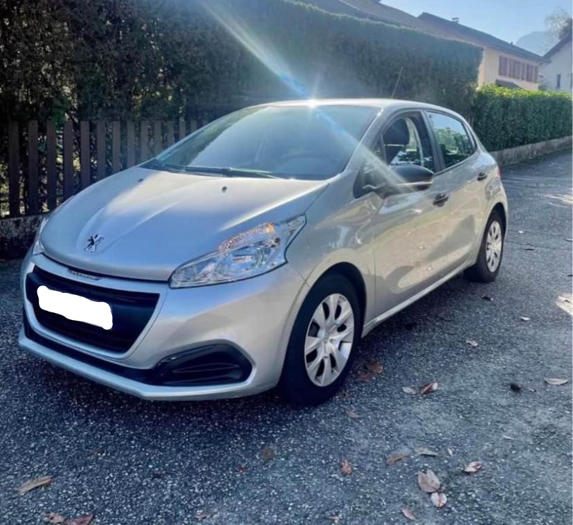 WhatsApp Image 2024-11-26 at 13.14.51